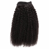 Afro Kinky Curly Clip-In
